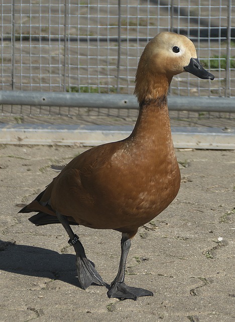 合体育产